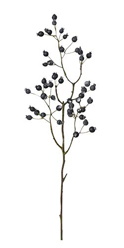 アスカベリースプレー