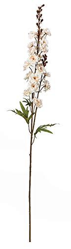 アスカ(Asca) デルフィニウム (A-34024008)