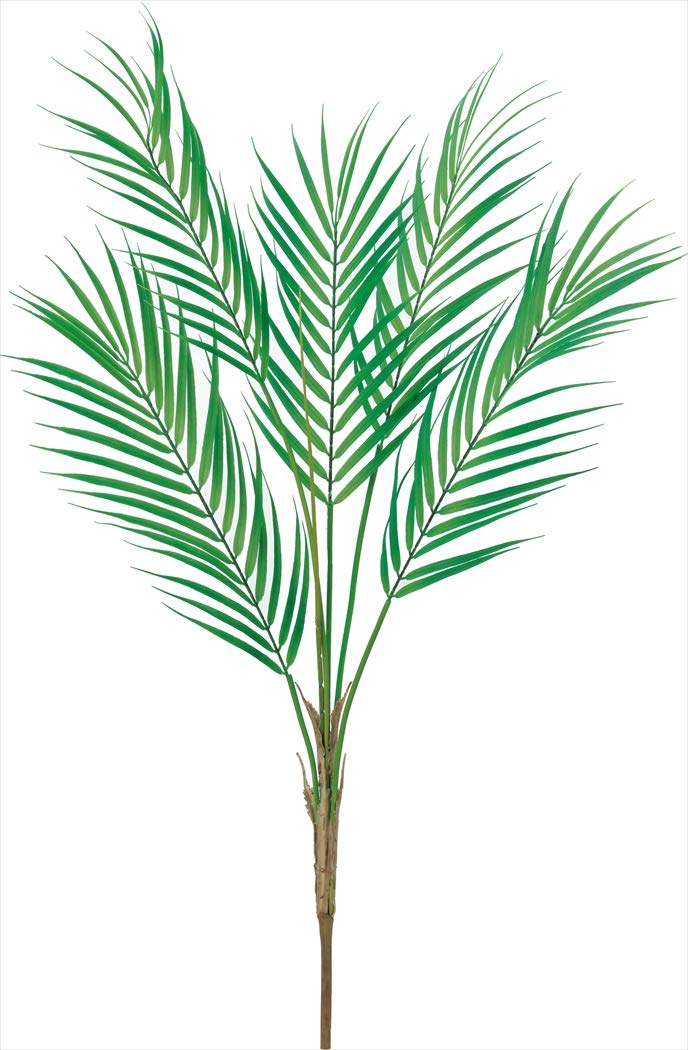 ASCA アスカ パームリーフブッシュ (A-43689051A)