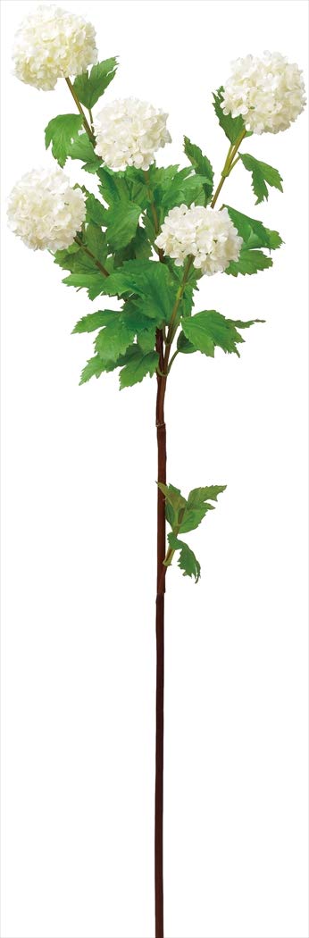 ASCA アスカ スノーボールX5 (A-34119011)