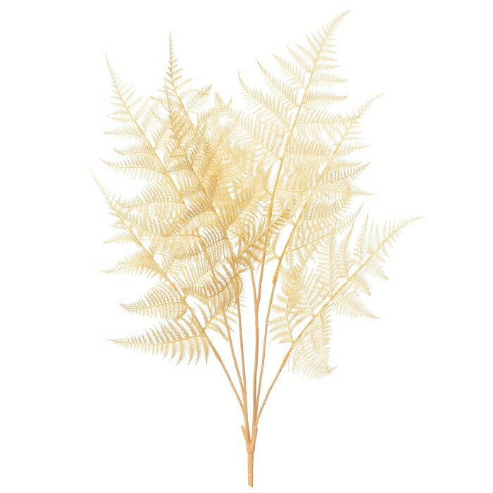 アスカ(Asca) ファーンブッシュ (A-43949008)