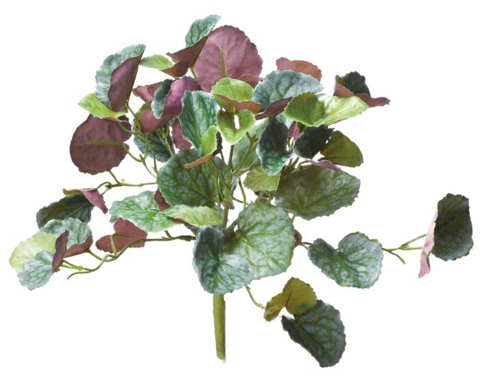 ASCA アスカ リーフブッシュ (A-43961053P)