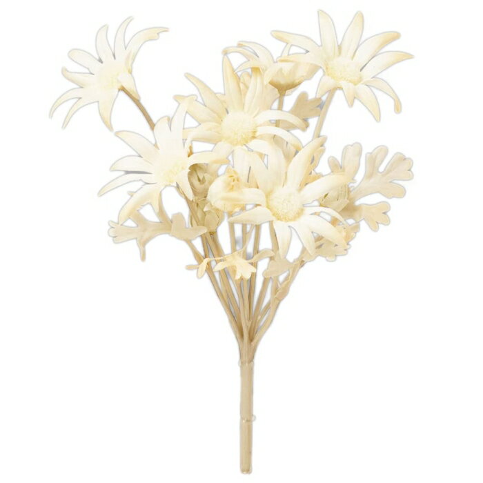 ASCA アスカ フランネルフラワーブッシュX6 つぼみX4 (A-34410008)