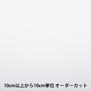 LECIEN (�륷����) COSMO(������)�ɤ��夦�� ����Х����� 65 ȿʪ (�ۥ磻��) (65111-9)������:50��