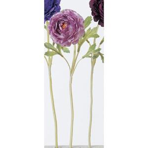 ASCA アスカ ラナンキュラス (A-31841-6)【入数:12】