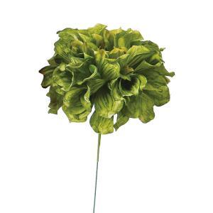 アスカ(Asca) ダリアピック (A-31451-51A)【入数:24】