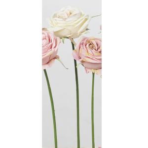 ASCA アスカ ローズ (A-33064-3C)【入数:24】