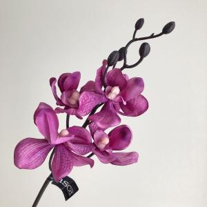 ASCA アスカ オーキッドピック×5 つぼみ×5 (A-32866-45)【入数:24】