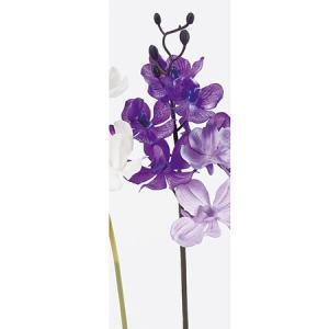 &nbsp;メーカー&nbsp;ASCA アスカ&nbsp;商品カテゴリ&nbsp;フラワー・観葉植物＞造花&nbsp;発送目安&nbsp;2日〜3日以内に発送予定（土日祝除）&nbsp;お支払方法&nbsp;銀行振込・クレジットカード&n...