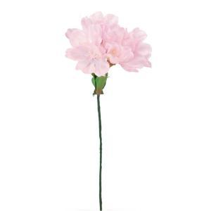 ASCA アスカ 桜ピック×6 つぼみ×4 (A-33737-3T)【入数:72】