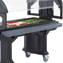 キャンブロ(CAMBRO) キャンブロ バーサフードバー用トレーレール VBRR5【LHC1701】