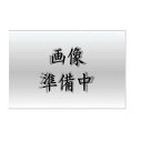 TOSHIBA 東芝 TENQOO直付230非調光 LEET-22304-LS9(3)