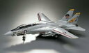 ハセガワ PT46 1/48 F-14A トムキャット