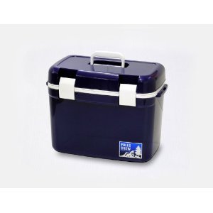 �����ơ��� AS �ե��쥹�ȥ��롼 #25 DB