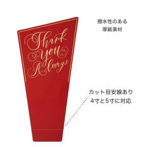 ���������������� �����ܥΡ��֥��å��������ƥ��å�L (5061-A-RD)������:10��