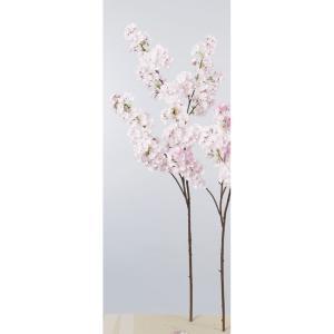 ASCA アスカ 桜×448 つぼみ×12 (A-33744-1P)【入数:6】