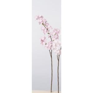 ASCA アスカ 桜×95 (A-33746-3P)【入数:12】