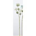 アスカ(Asca) アキレア×3【価格変更】 (A-33578-11)【入数:12】
