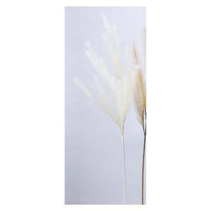 ASCA アスカ ファーンスプレー (A-43255-11)【入数:24】