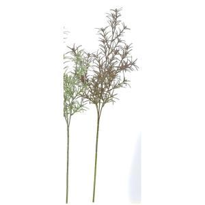 ASCA ������ �������ޥ꡼�ڲ����ѹ��� (A-43284-54B)������:12��