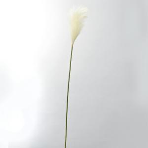 &nbsp;メーカー&nbsp;ASCA アスカ&nbsp;商品カテゴリ&nbsp;フラワー・観葉植物＞造花&nbsp;発送目安&nbsp;2日〜3日以内に発送予定（土日祝除）&nbsp;お支払方法&nbsp;銀行振込・クレジットカード&nbsp;送料&nbsp;送料無料&nbsp;特記事項&nbsp;&nbsp;その他&nbsp;