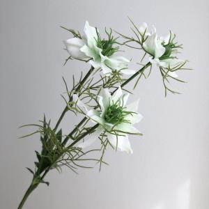 ASCA アスカ ニゲラ×3【価格変更】 (A-33921-52)【入数:12】(4.0)