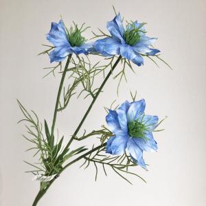ASCA アスカ ニゲラ×3【価格変更】 (A-33921-9G)【入数:12】