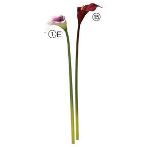 ASCA アスカ カラーリリィ【価格変更】 (A-34061-1E)【入数:12】