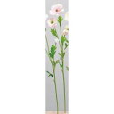 アスカ(Asca) バターカップ×2 つぼみ×1【価格変更】 (A-34294-3)【入数:24】