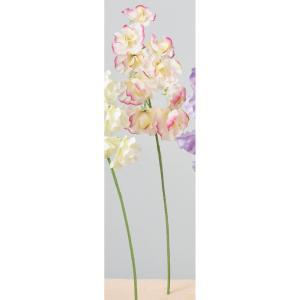 ASCA アスカ スイトピー×9【価格変更】 (A-34347-3C)【入数:24】