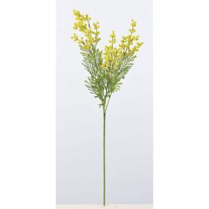 ASCA アスカ ミモザ イエローグリーン (A-33673-10G)【入数:12】