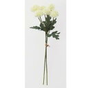 アスカ(Asca) ポンポンマムバンチ×6(1束2本) クリームホワイト (A-32053-11)【入数:12】