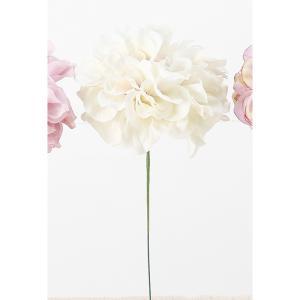 &nbsp;メーカー&nbsp;ASCA アスカ&nbsp;商品カテゴリ&nbsp;フラワー・観葉植物＞造花&nbsp;発送目安&nbsp;2日〜3日以内に発送予定（土日祝除）&nbsp;お支払方法&nbsp;銀行振込・クレジットカード&nbsp;送料&nbsp;送料無料&nbsp;特記事項&nbsp;&nbsp;その他&nbsp;