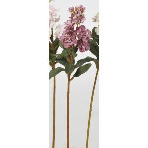 ASCA アスカ Aー32989 ストック#055 モーブ (72-32989-55)