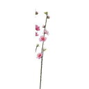 アスカ(Asca) 桃ピック【価格変更】 (A-03849-3)【入数:24】