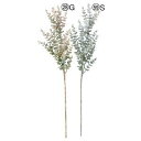アスカ(Asca) ユーカリ グリーンブラウン (A-43508-28G)【入数:12】
