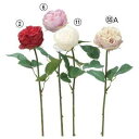 アスカ(Asca) ローズ【価格変更】 (A-34138-2)【入数:24】