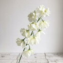 アスカ(Asca) スイトピー×9【価格変更】 (A-34347-1)【入数:24】
