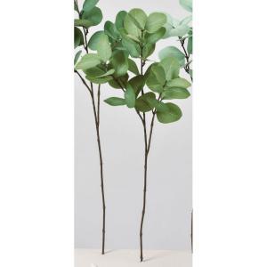 ASCA アスカ ユーカリスプレー セージグリーン (A-44209-53S)【入数:12】