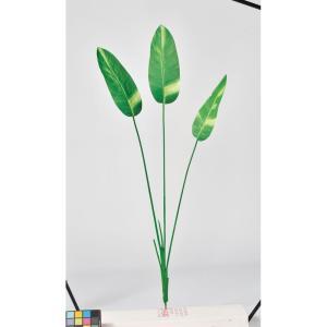 ASCA アスカ ストレチアリーフブッシュ クリームグリーン (A-44098-53A)【入数:12】