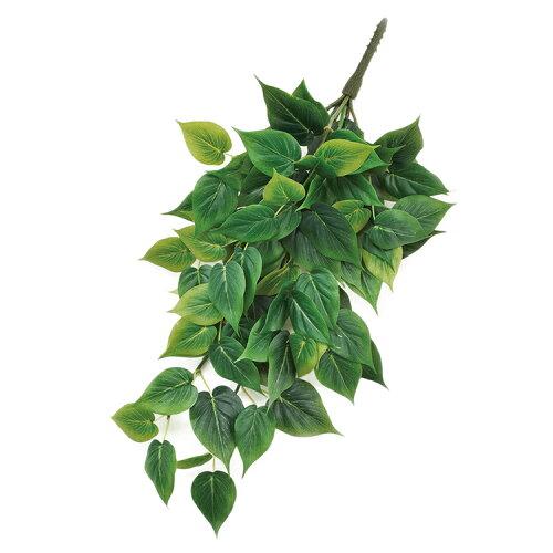 ASCA アスカ フィロリーフハンギングブッシュ (A-43916-051A)