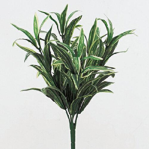 ASCA アスカ グラスブッシュ (A-41818-053A)