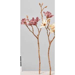 アスカ(Asca) A-34500 マグノリア×3 #055D ダスティモ-ブ (72-34500-155)