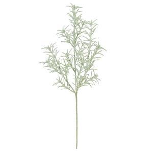 ASCA アスカ ローズマリー (A-43125-51F)【入数:12】