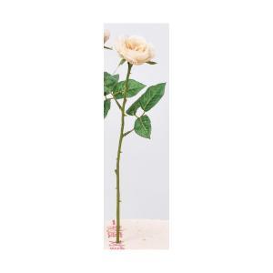 アスカ(Asca) ローズ (A-34011-11)【入数:12】