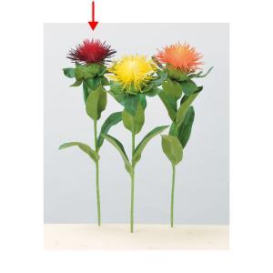 アスカ(Asca) ベニバナ (A-34168-2)【入数:24】