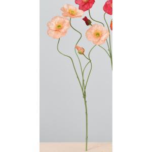 ASCA アスカ ポピー×3 つぼみ×1【価格変更】 (A-34384-4)【入数:24】