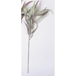 アスカ(Asca) ユーカリ セージグリーン (A-43051-53S)【入数:12】