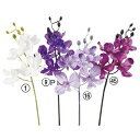 アスカ(Asca) オーキッドピック×5 つぼみ×5【価格変更】 (A-32866-1)【入数:24】