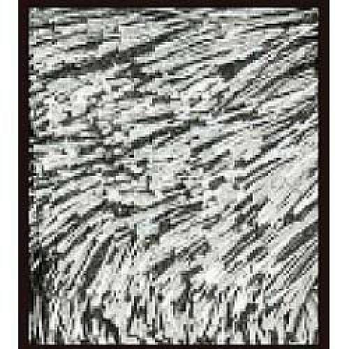 ���ߥΥ�(Suminoe) 131-27373BK �饰 �ͥ����饹(200��250cm/�֥�å�)����������